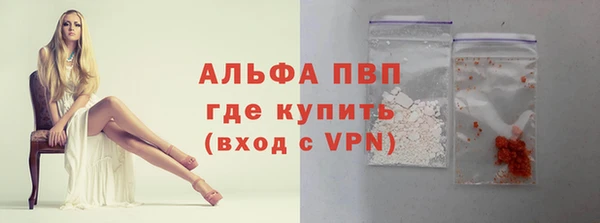 гидра Корсаков