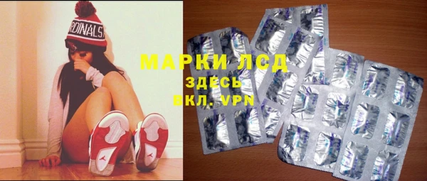 гидра Корсаков